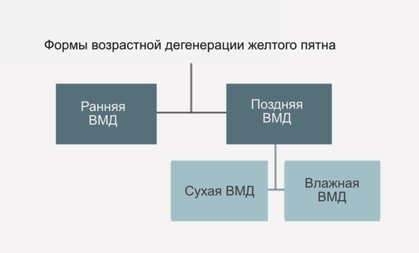 Рисунок: Формы возрастной дегенерации желтого пятна